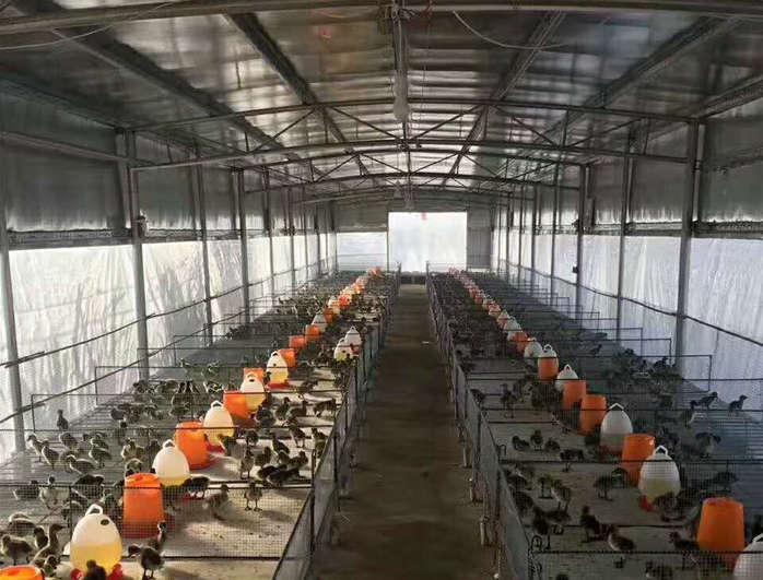 1634983197283708.png image.png